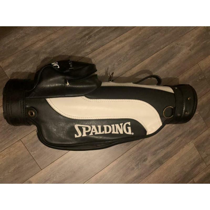 Retro Spalding Golf Bag